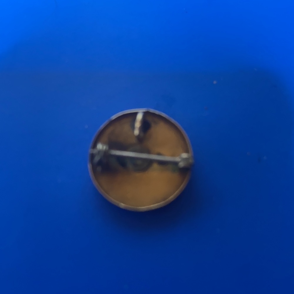 Unique Pins/ pendent - Picture 3 of 9